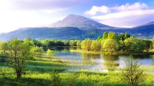 高标准高精度自动化